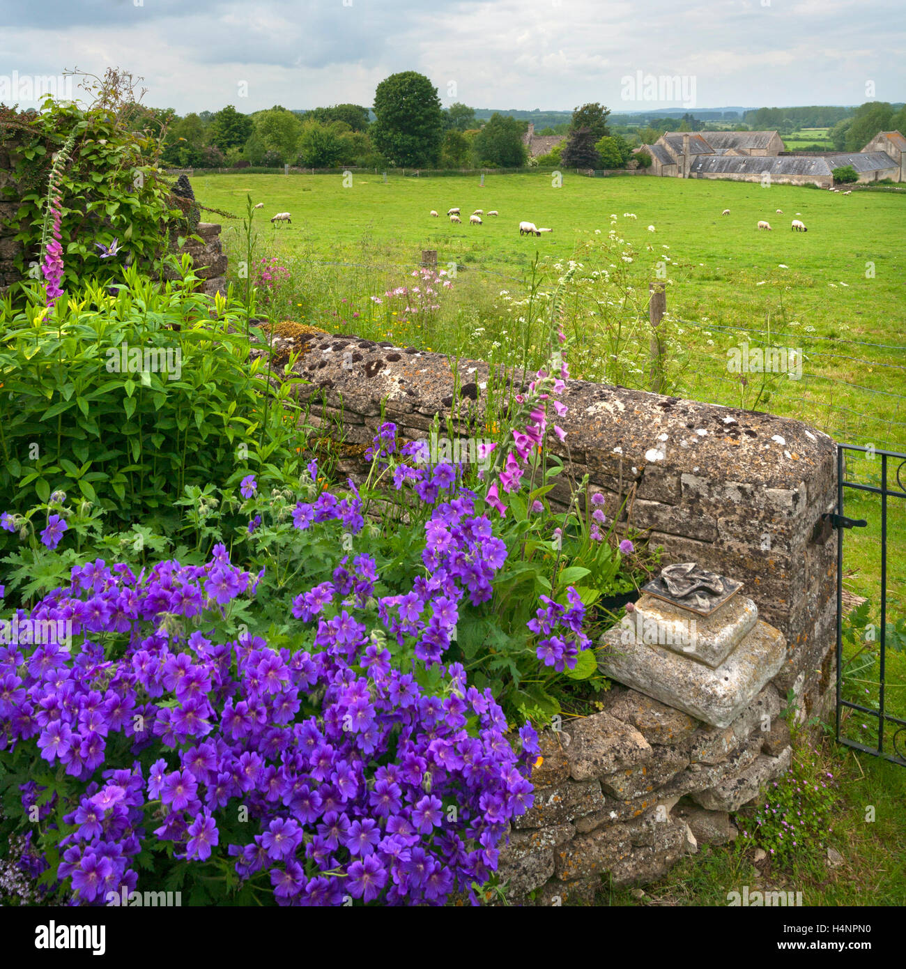 A pretty garden flower border corner with open countryside beyond Stock Photo