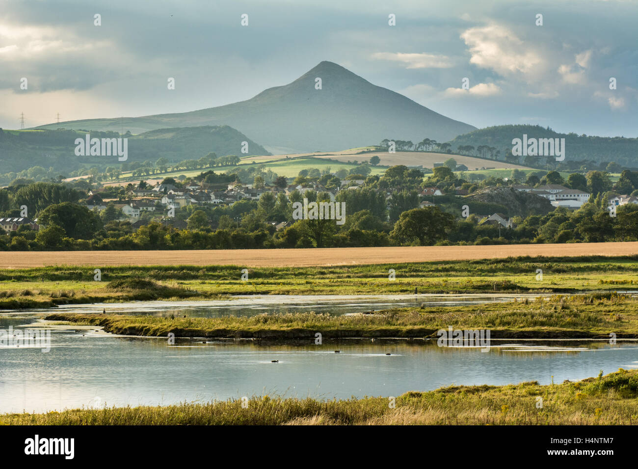 View of landscape of East Wicklow in Ireland with the wetlands of Kilcoole in the foreground and the Sugarloaf mountain behind. Stock Photo