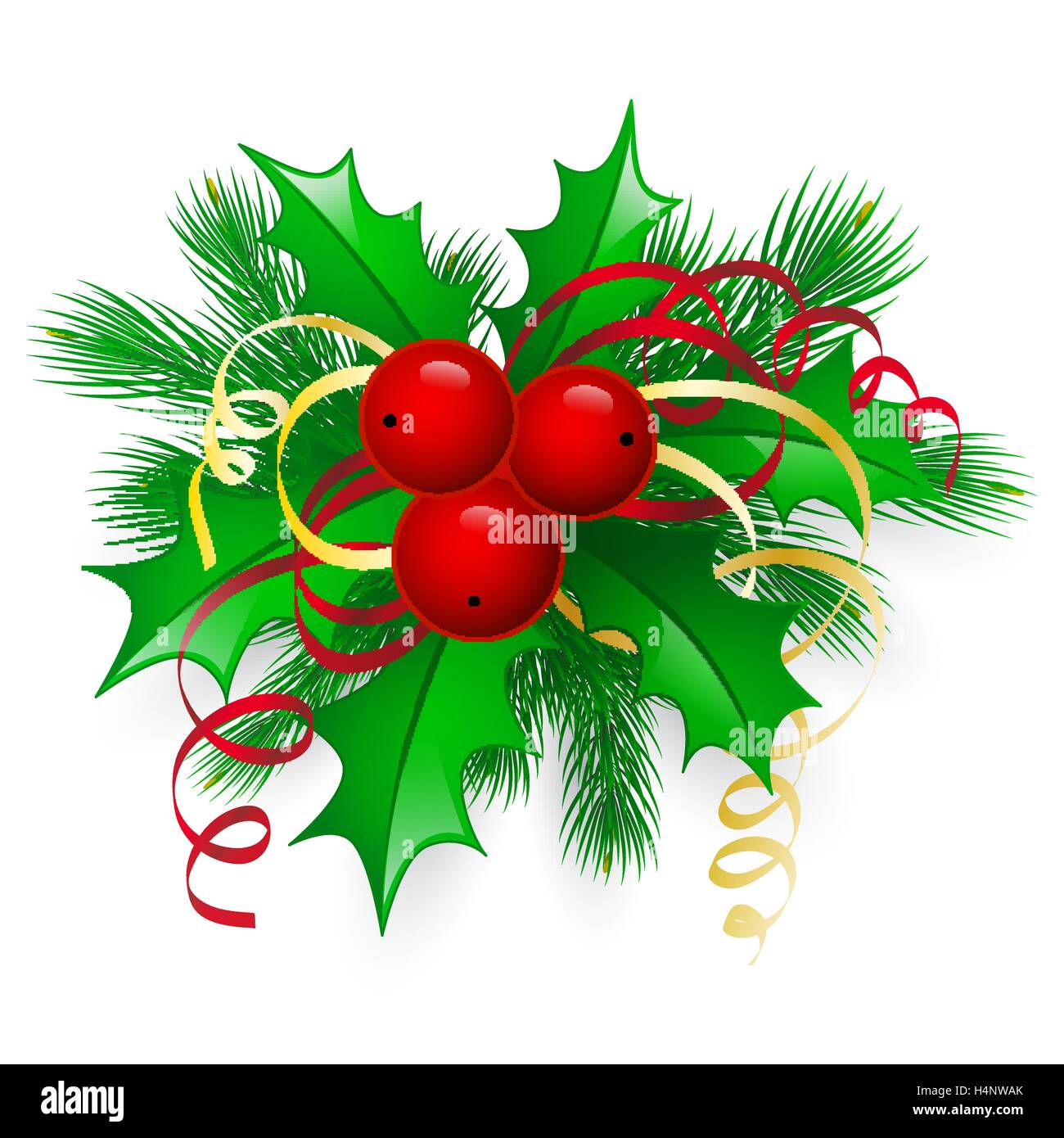 Vector Christmas holly with berries Stock Vector Image & Art - Alamy