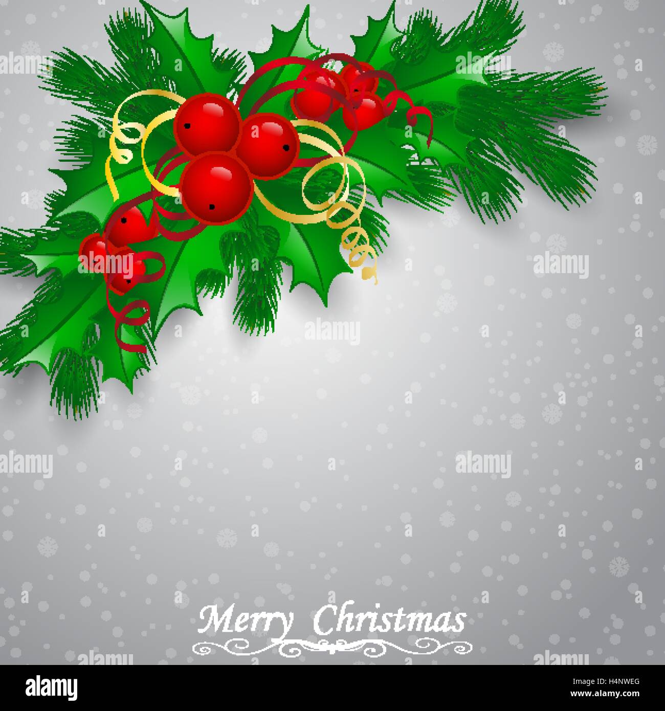Vector Christmas holly with berries Stock Vector Image & Art - Alamy