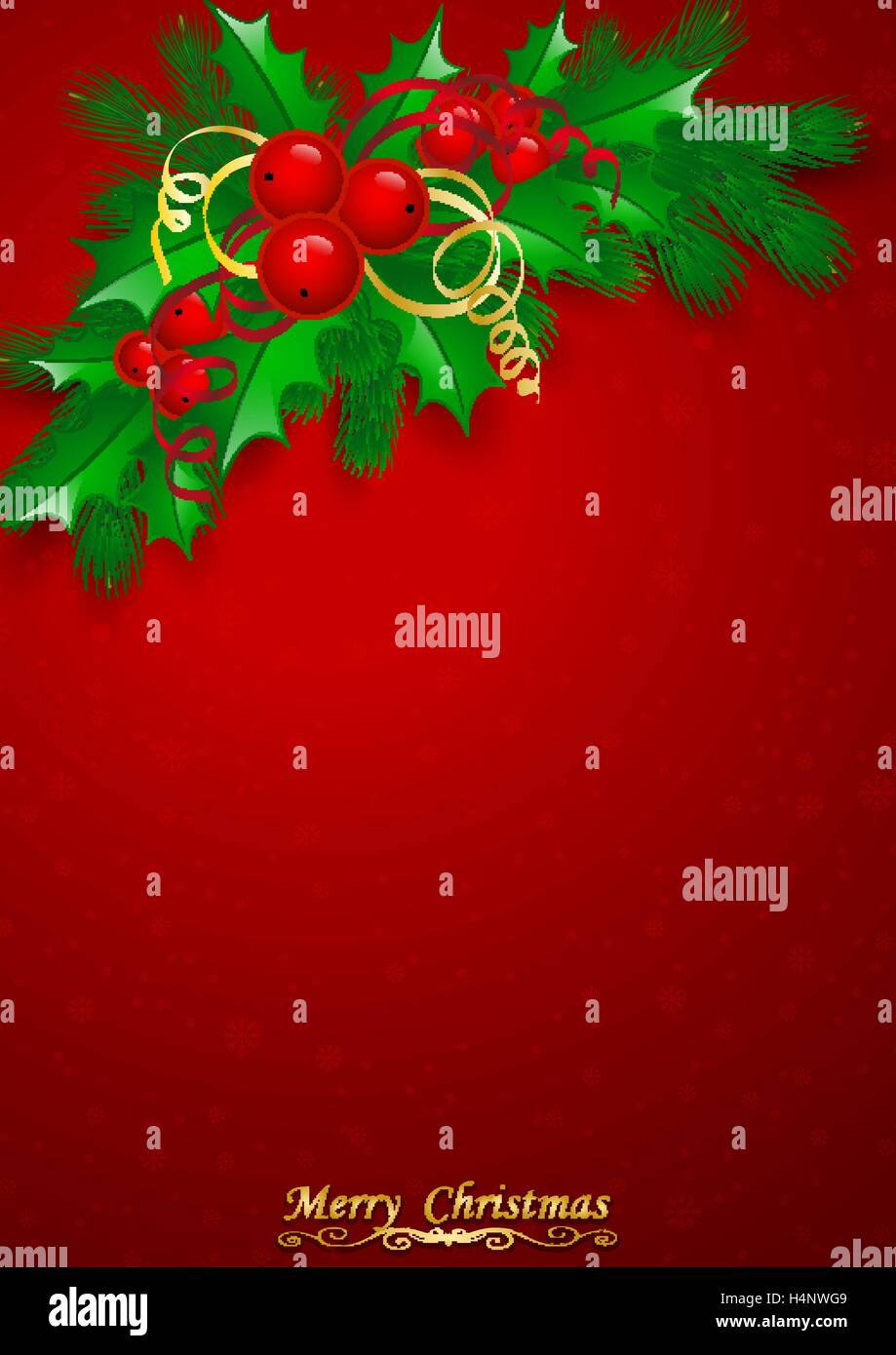 Vector Christmas holly with berries Stock Vector Image & Art - Alamy