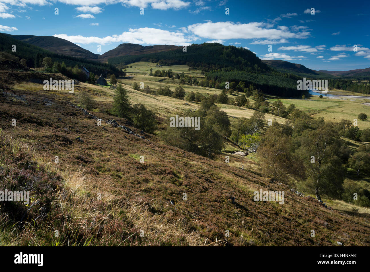Mar Lodge Estate, Braemar, Aberdeenshire, Scotland Stock Photo Alamy
