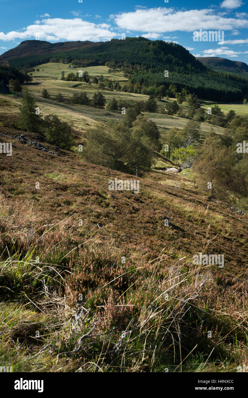 Mar Lodge Estate, Braemar, Aberdeenshire, Scotland Stock Photo Alamy
