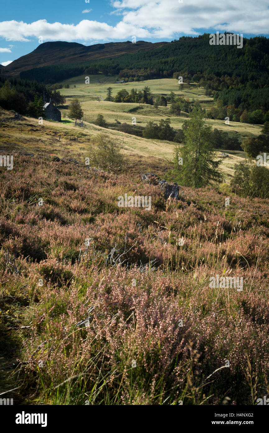 Mar Lodge Estate, Braemar, Aberdeenshire, Scotland Stock Photo Alamy