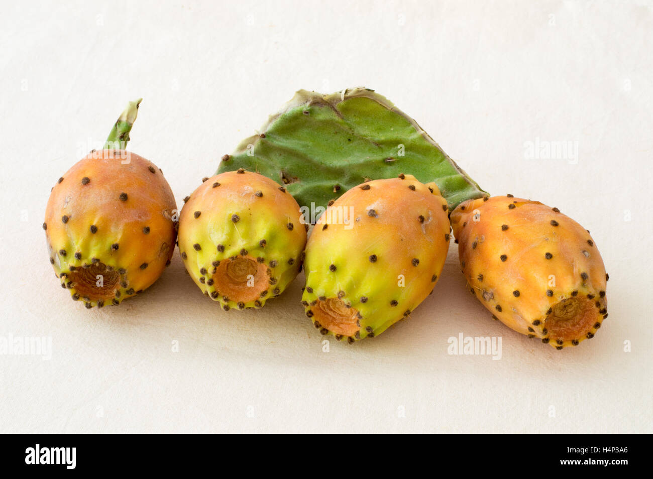 Prickly Pear Cactus Fruits on a White Background Stock Photo