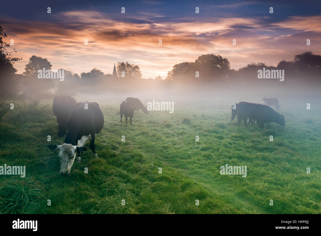 Cotswolds mist hires stock photography and images Alamy