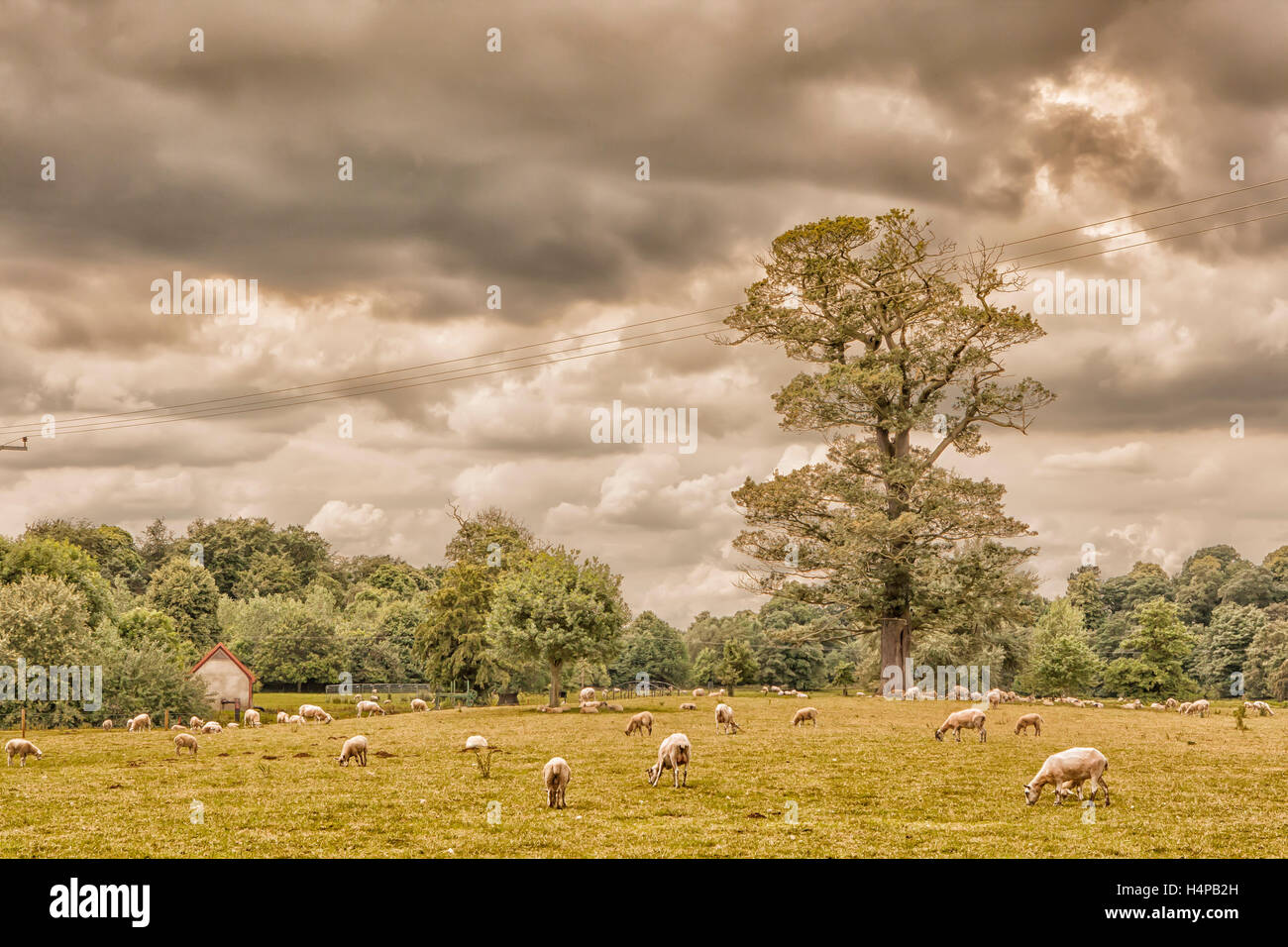 Thoresby Hall Estate, Nottinghamshire, England Stock Photo Alamy