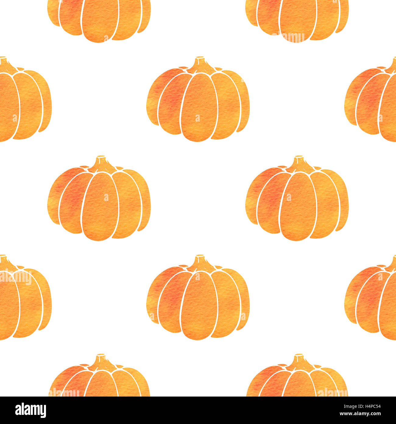 Pumpkin plant Cut Out Stock Images & Pictures - Alamy