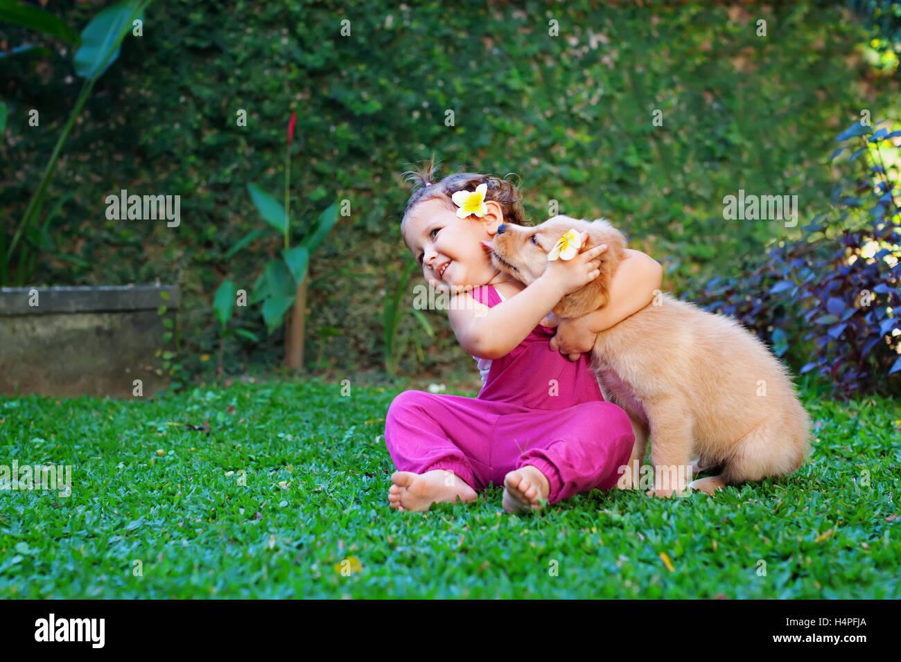 Why Do Dogs Lick Babies