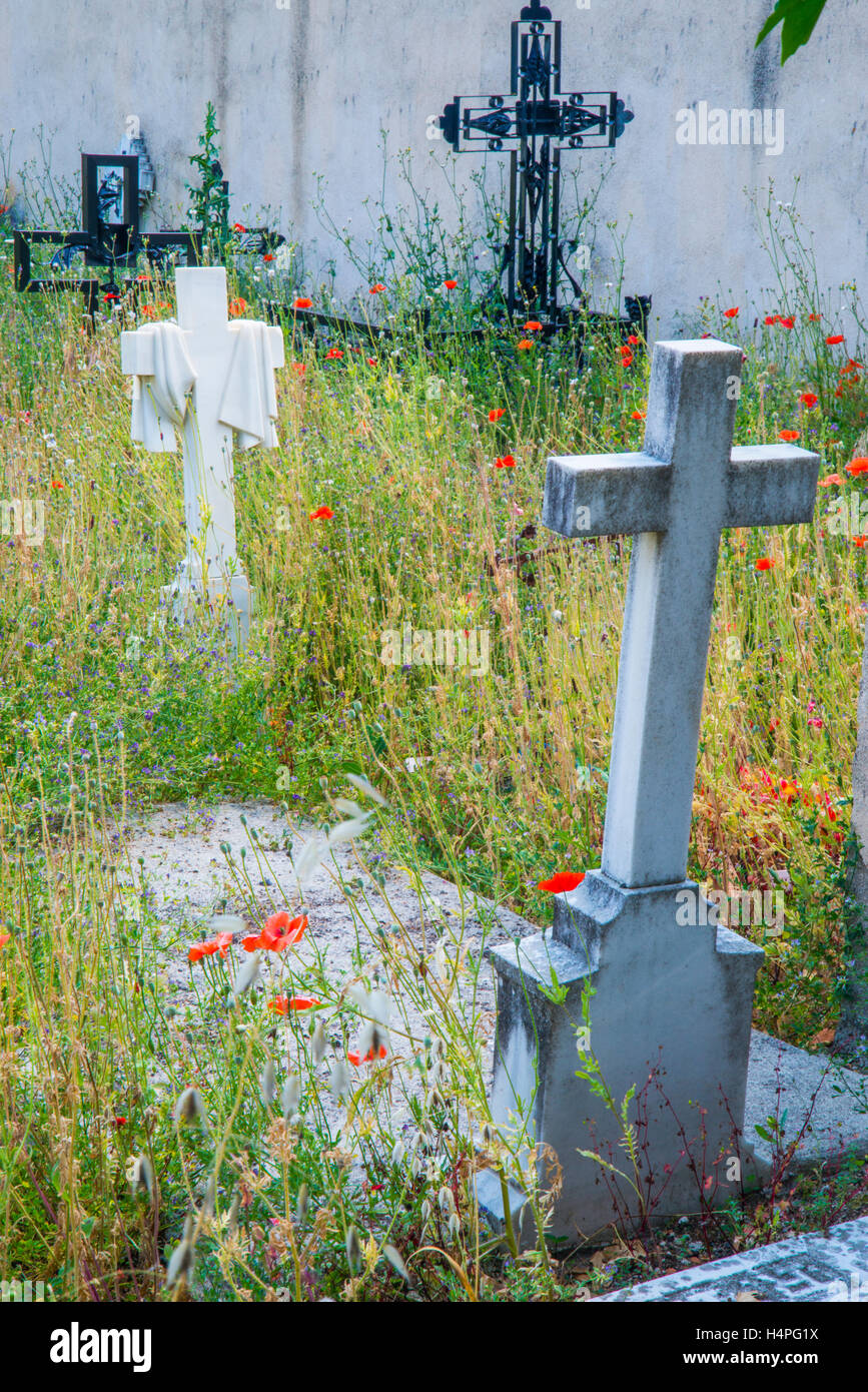 Graves in an abandoned graveyard. Stock Photo