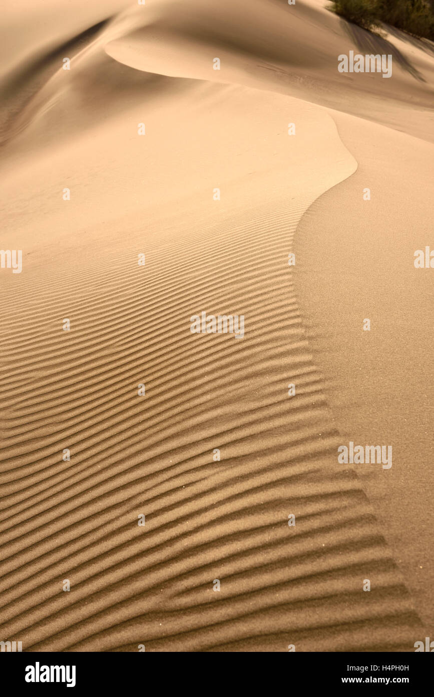 Abstract shapes and ripples at Singing Sand Dune Altyn Emel National Park Kazakhstan Stock Photo
