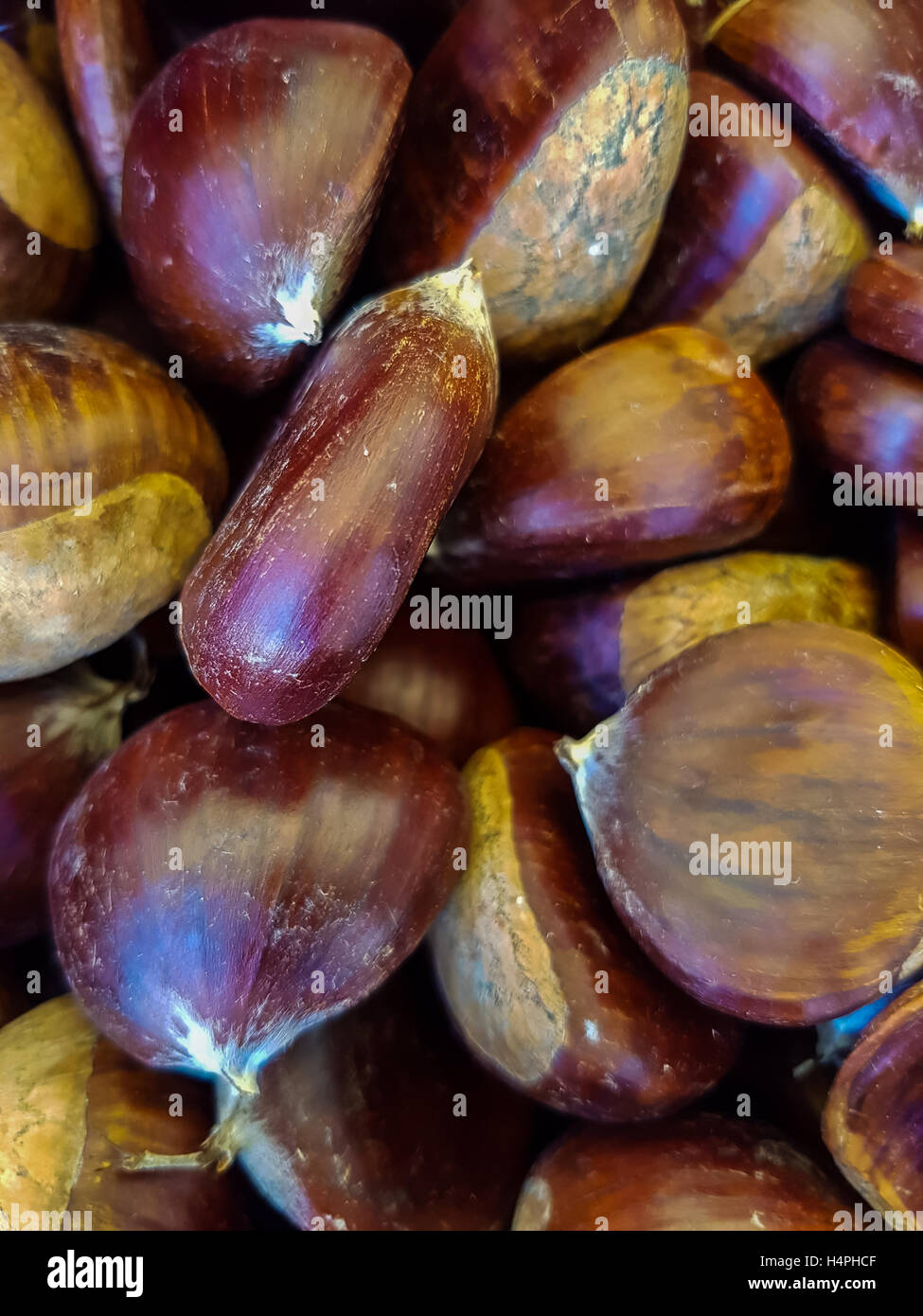 Group of edible chestnuts at Rome market Stock Photo