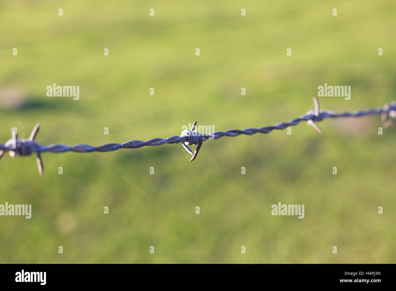 Rusty barbed wire Stock Photo Alamy