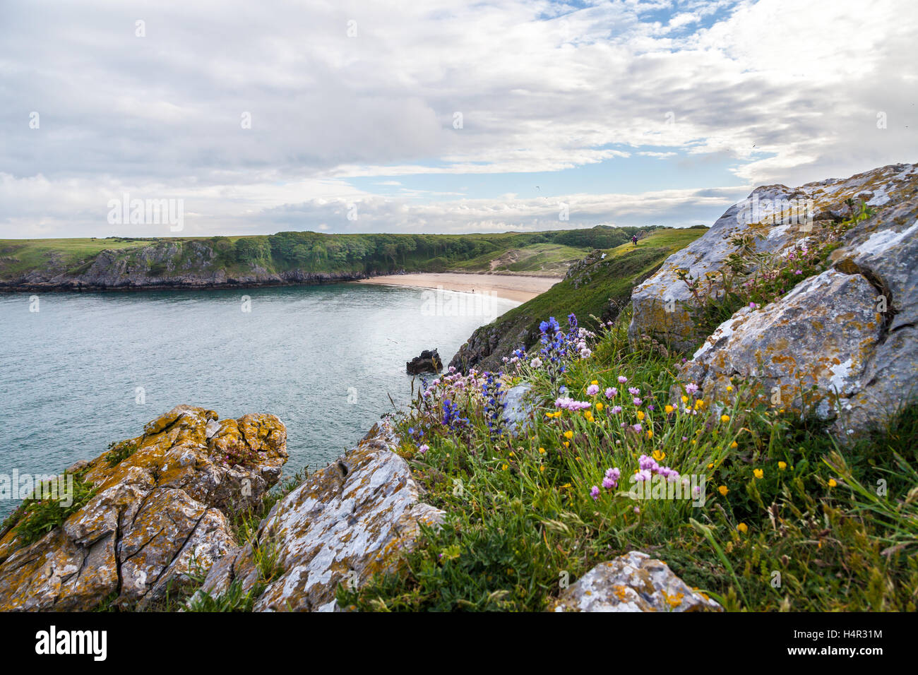Barafundle Bay in Pembrokeshire Stock Photo - Alamy