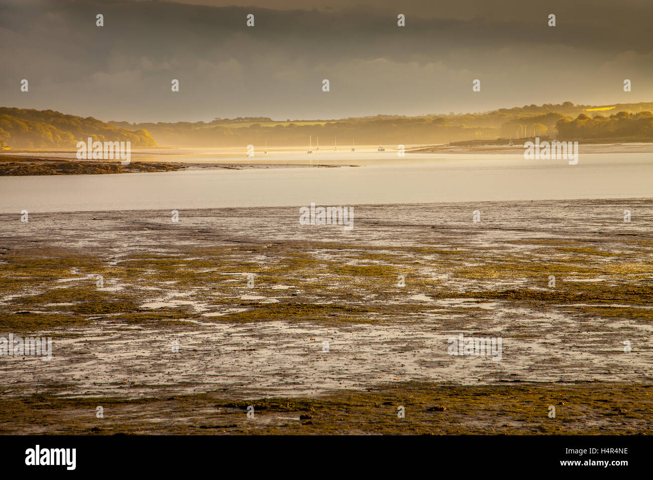 Hook pembrokeshire hires stock photography and images Alamy