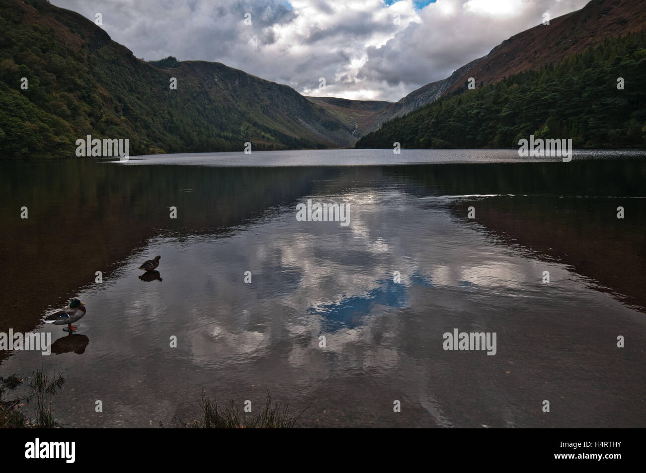 st andrews scotland Stock Photo Alamy