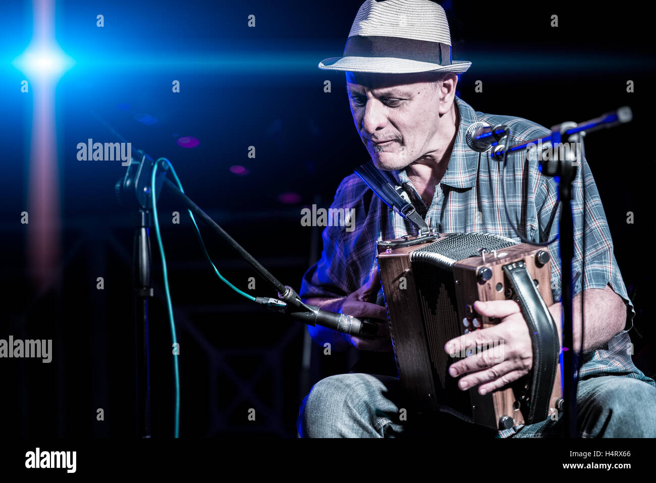 Accordion player popular during a concert of folk music Stock Photo Alamy