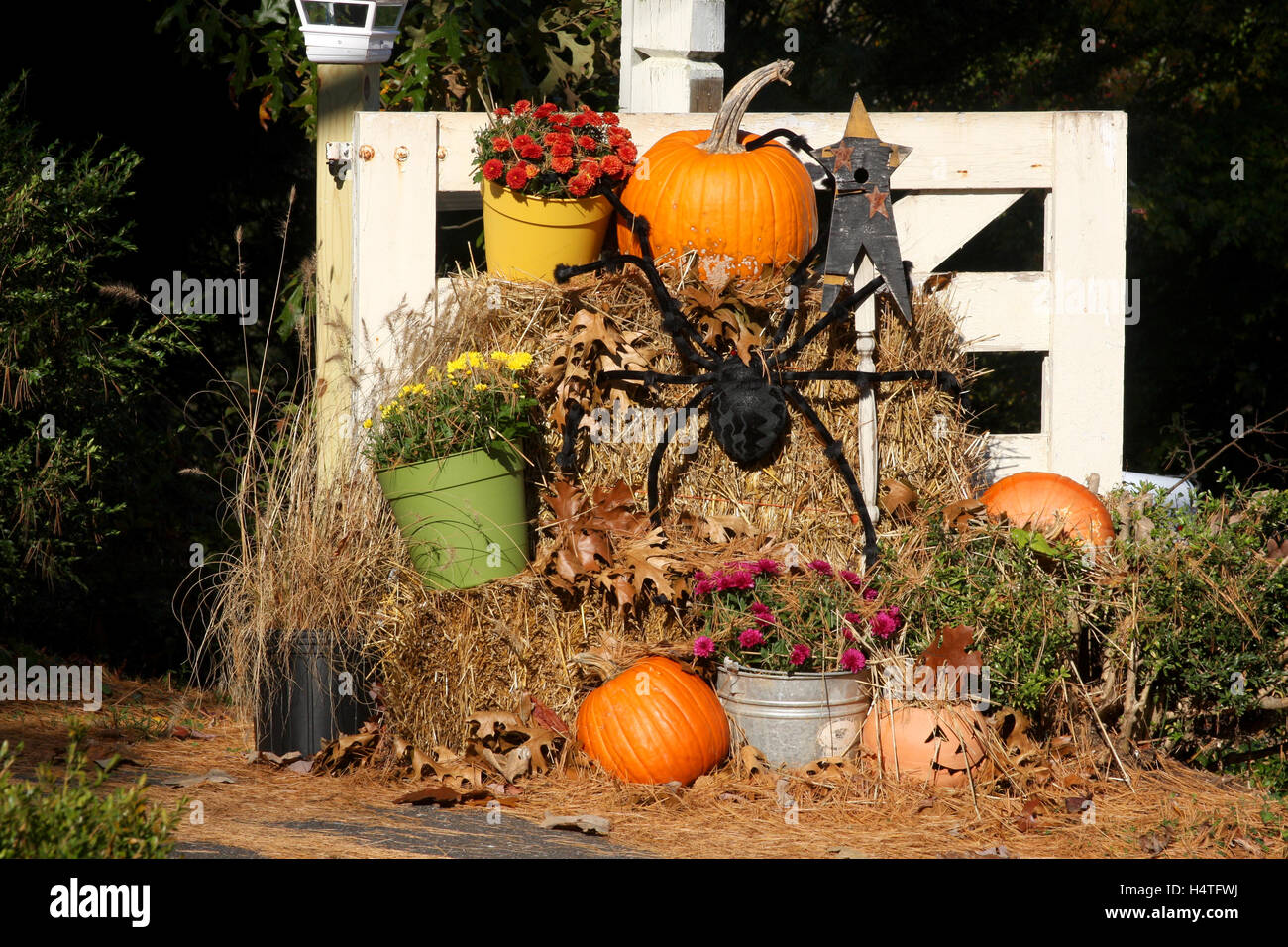https://c8.alamy.com/comp/H4TFWJ/outdoor-fall-decoration-with-pumpkins-hay-and-flowers-H4TFWJ.jpg