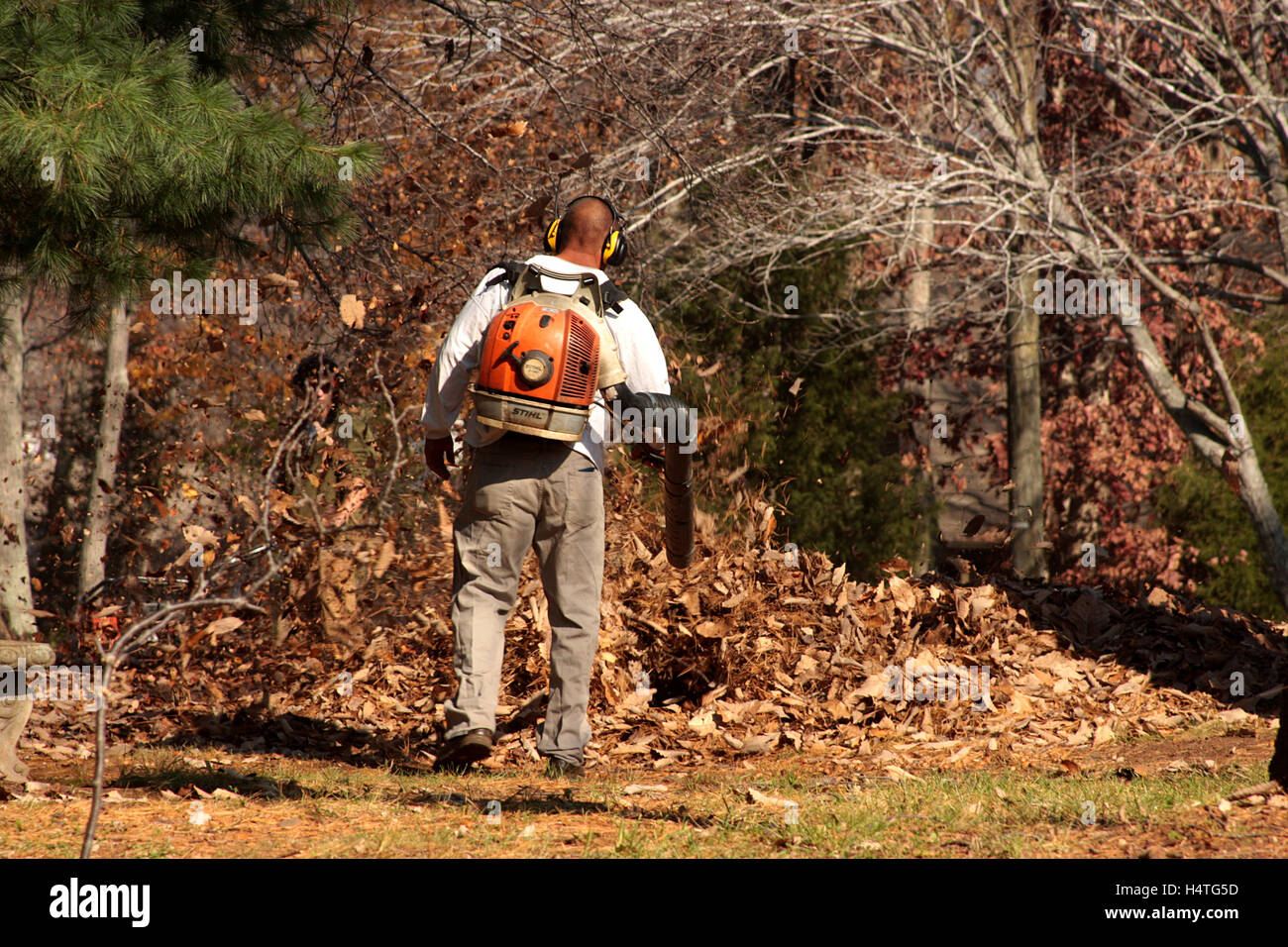 Man Operating A Heavy Duty Leaf Blower Stock Photo Alamy
