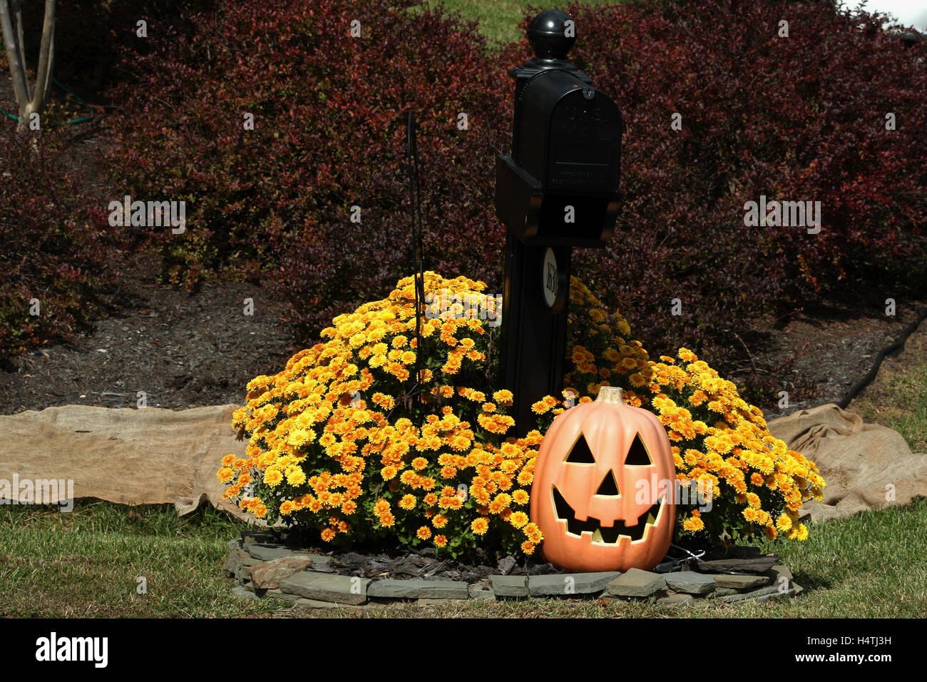 Inbox Images Fall Outdoor fall decoration around mailbox Stock Photo - Alamy