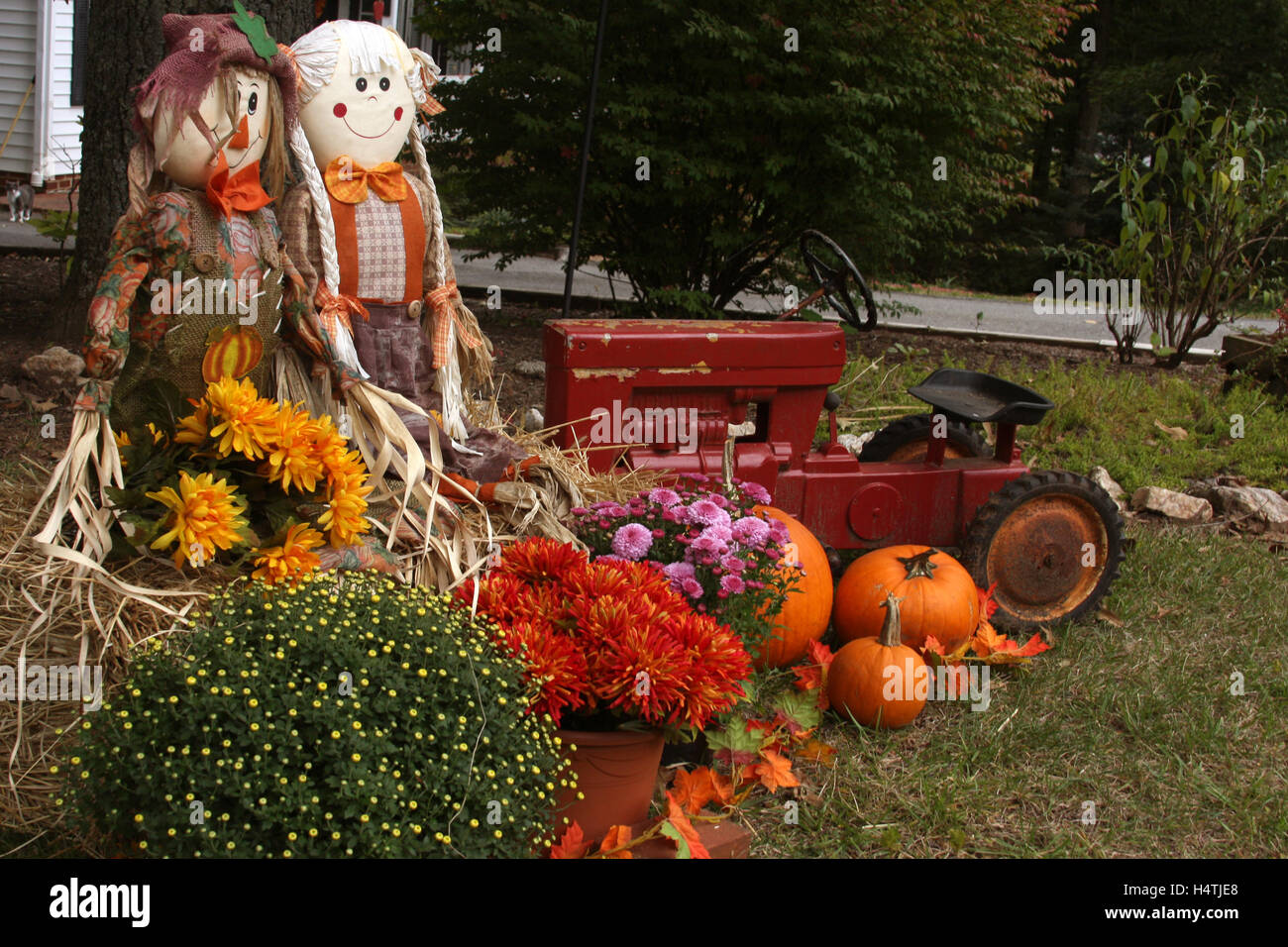Outdoor Fall Decoration With Scarecrows Mums Tractor And Pumpkins Stock Photo Alamy