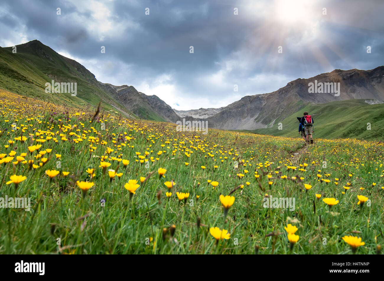 Children hiking in blooming meadow Stock Photo - Alamy