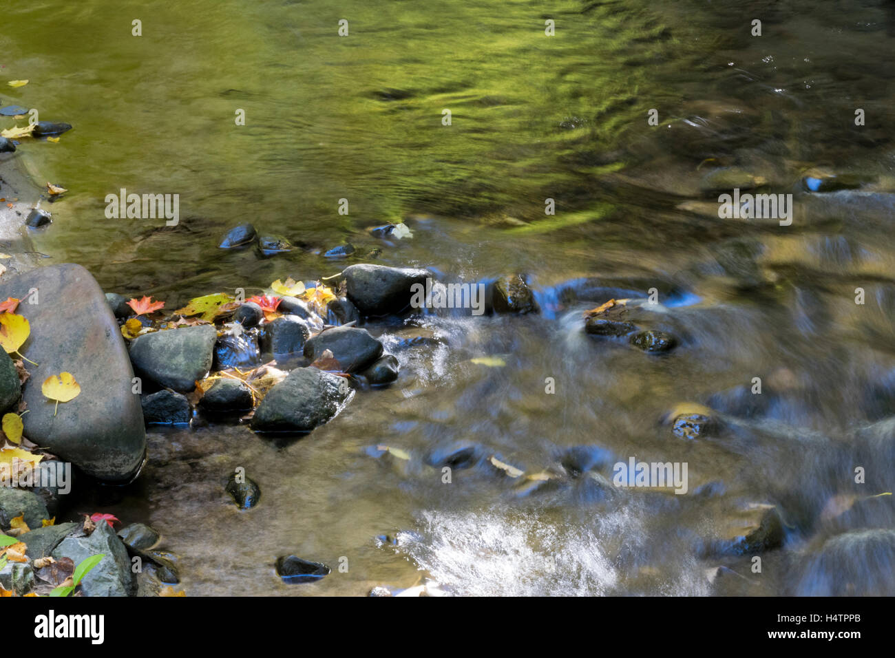 Reflections of autumn in a forest pond. Stock Photo