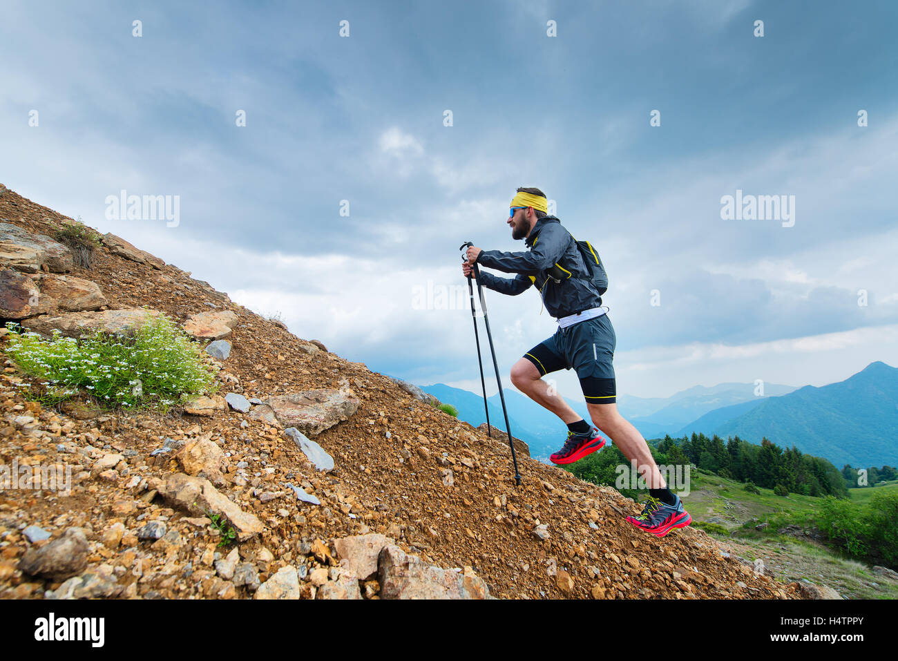 mountain climbing sticks