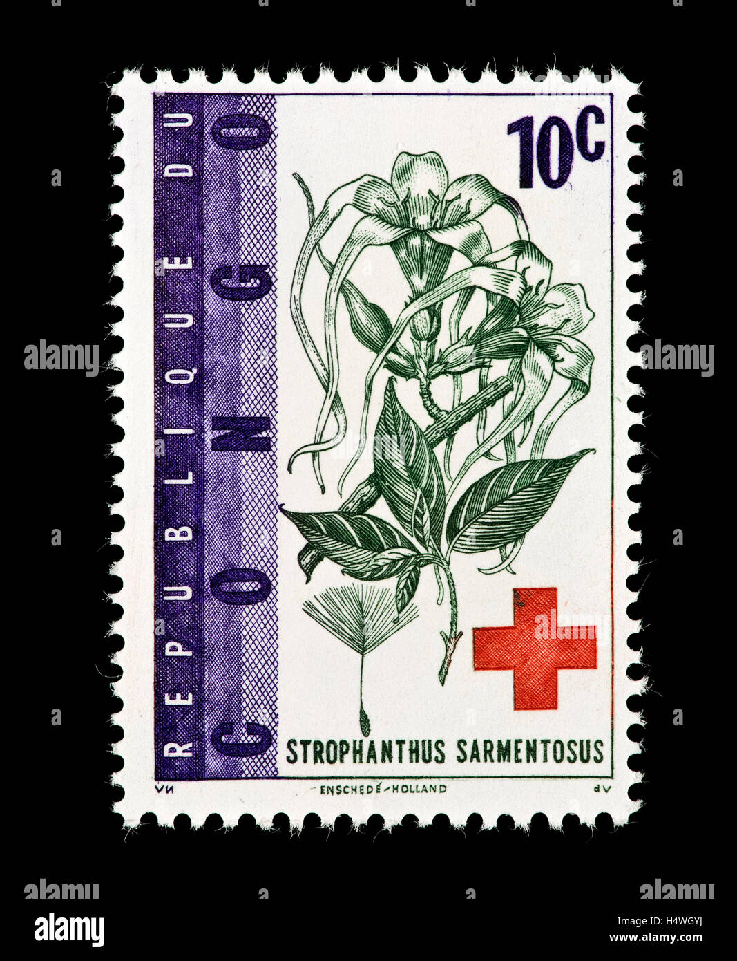 Postage stamp from Congo depicting Strophanthus sarmentosus, African medicinal plant. Stock Photo
