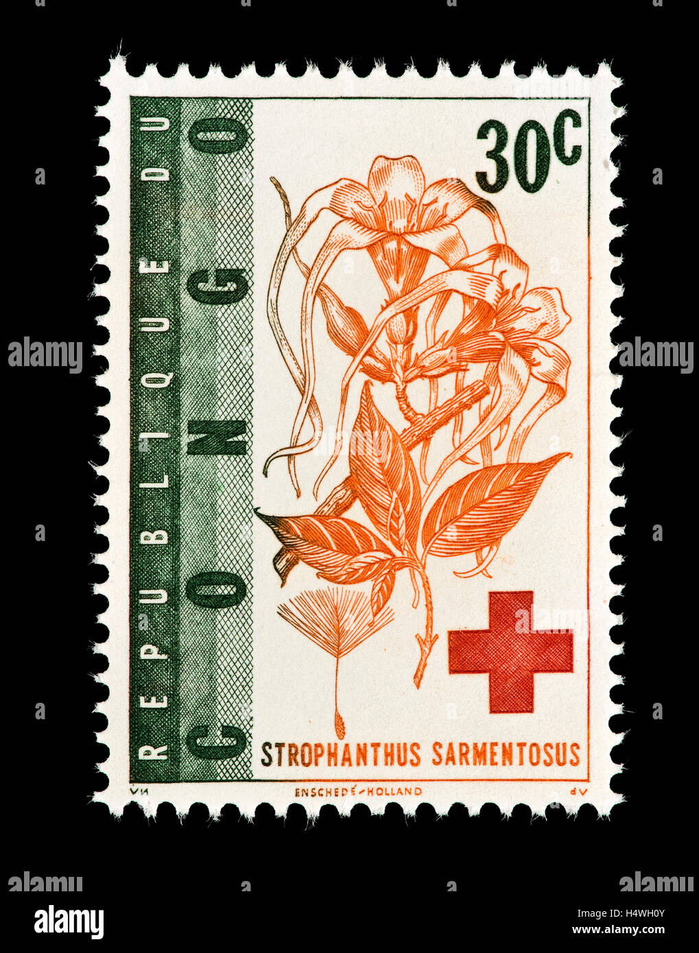 Postage stamp from Congo depicting Strophanthus sarmentosus, African medicinal plant. Stock Photo