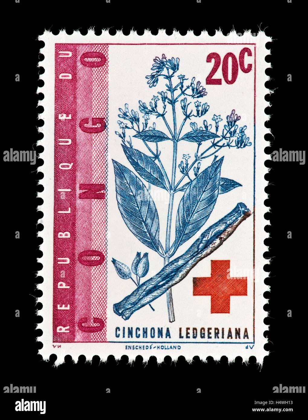 Postage stamp from Congo depicting Cinchona ledgeriana, original source of quinine. Stock Photo