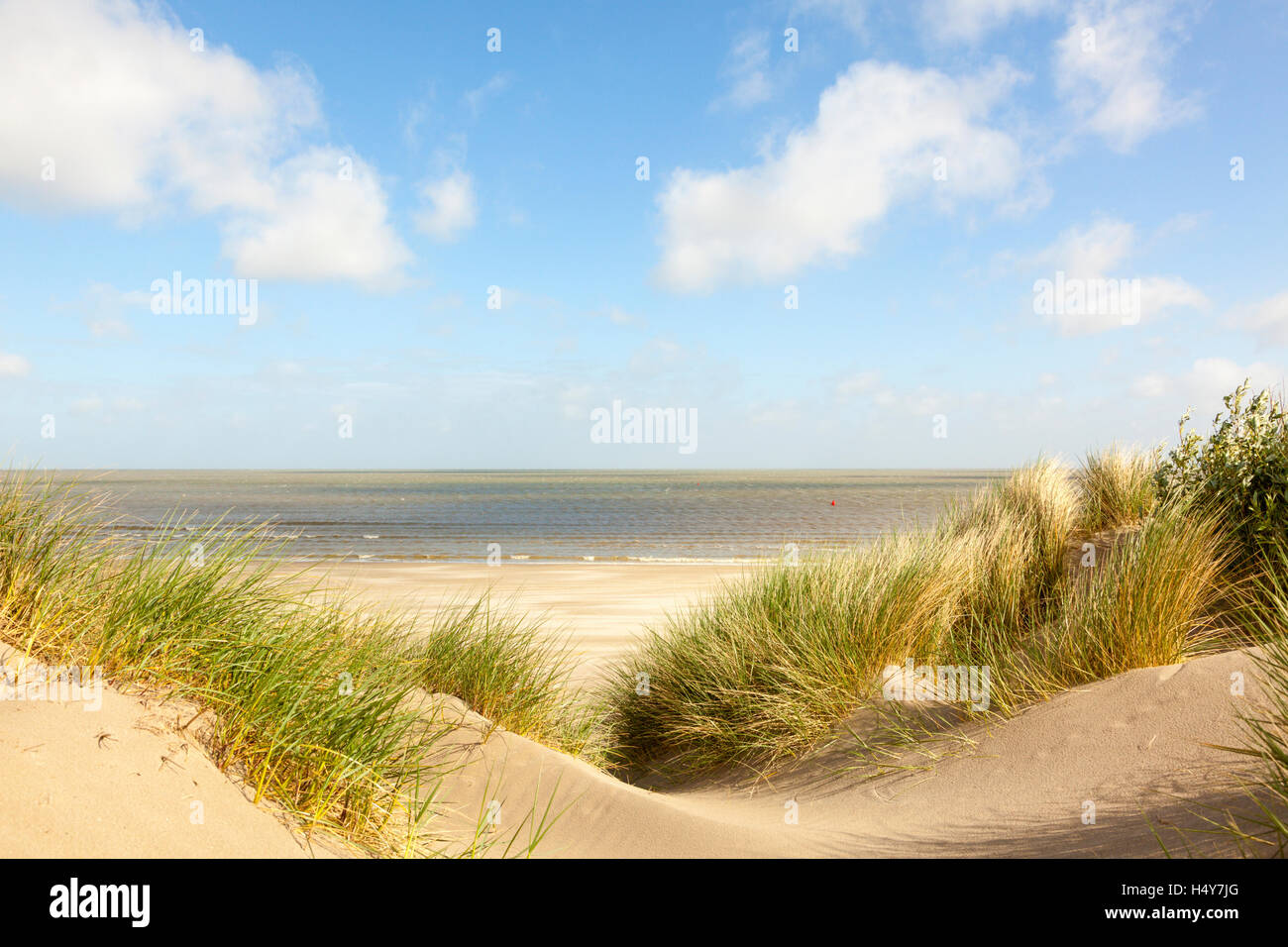 Dunes at the beach of Knokke-Heist, Belgian North Sea Coast Stock Photo ...