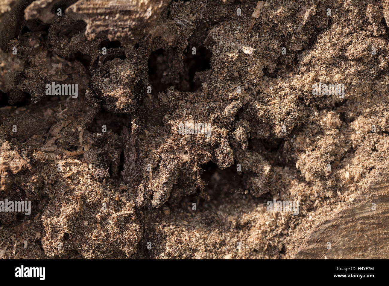 Pile of red clay soil hi-res stock photography and images - Alamy