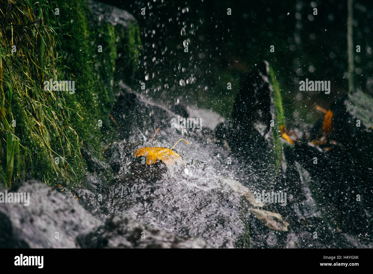 Cascade closeup, drops in motion. Falling water on mossy stones Stock Photo