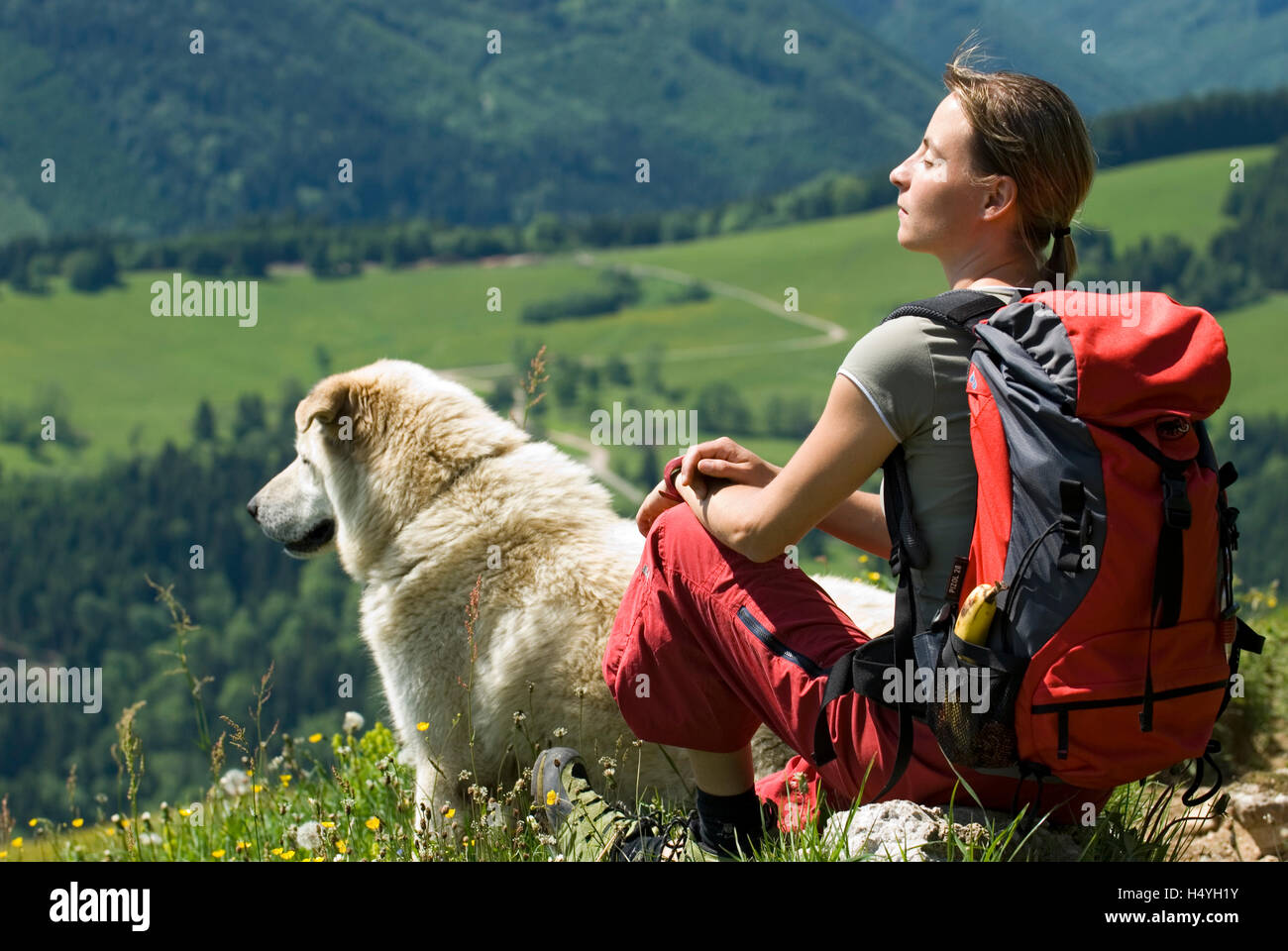 Young woman hiking with dog, Kalkalpen National Park, Upper Austria, Austria, Europe Stock Photo