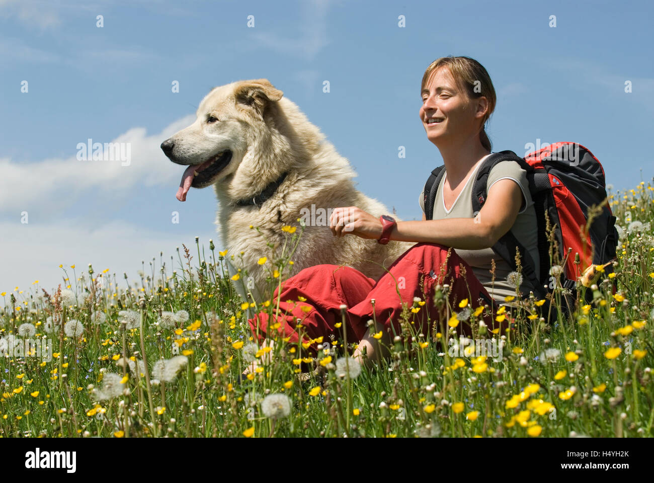 Young woman hiking with dog, Kalkalpen National Park, Upper Austria, Austria, Europe Stock Photo