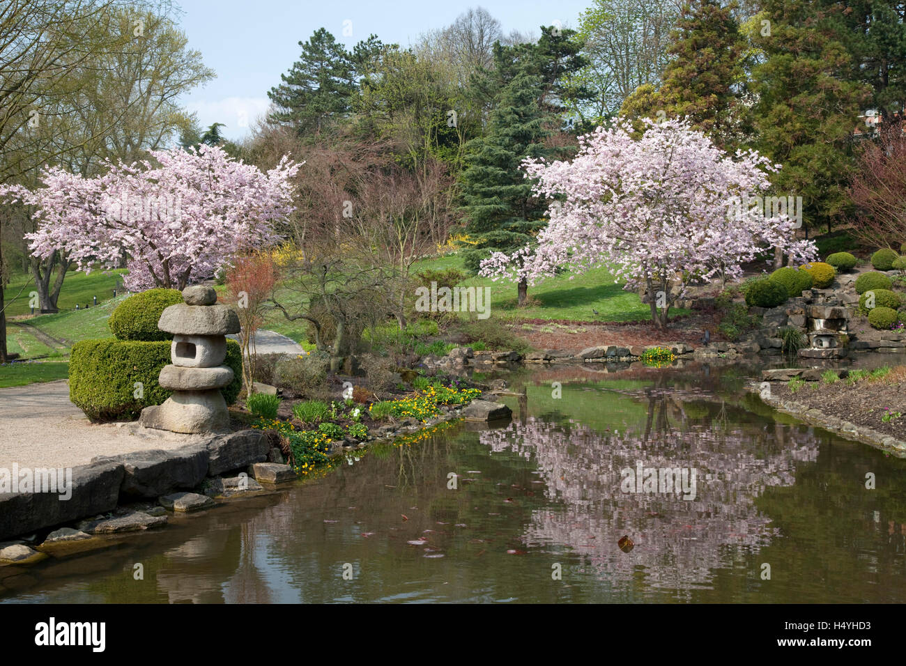 Japanese Garden Spring In Westfalenpark Dortmund Ruhr Area