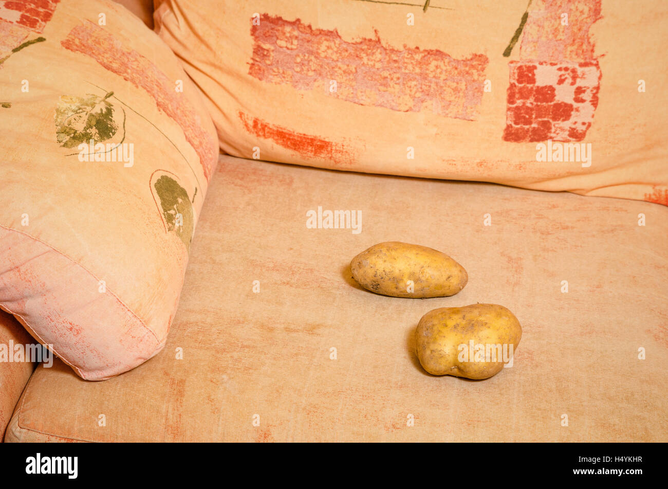 Literal shot of the saying couch potato Stock Photo Alamy