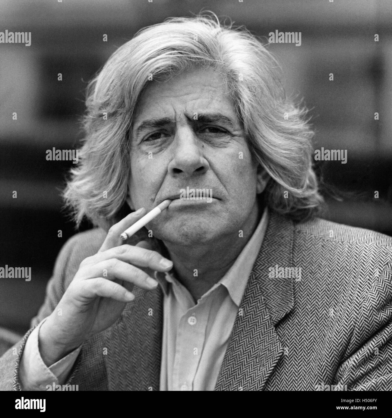 Gaston Salvatore, 1998 Stock Photo Alamy