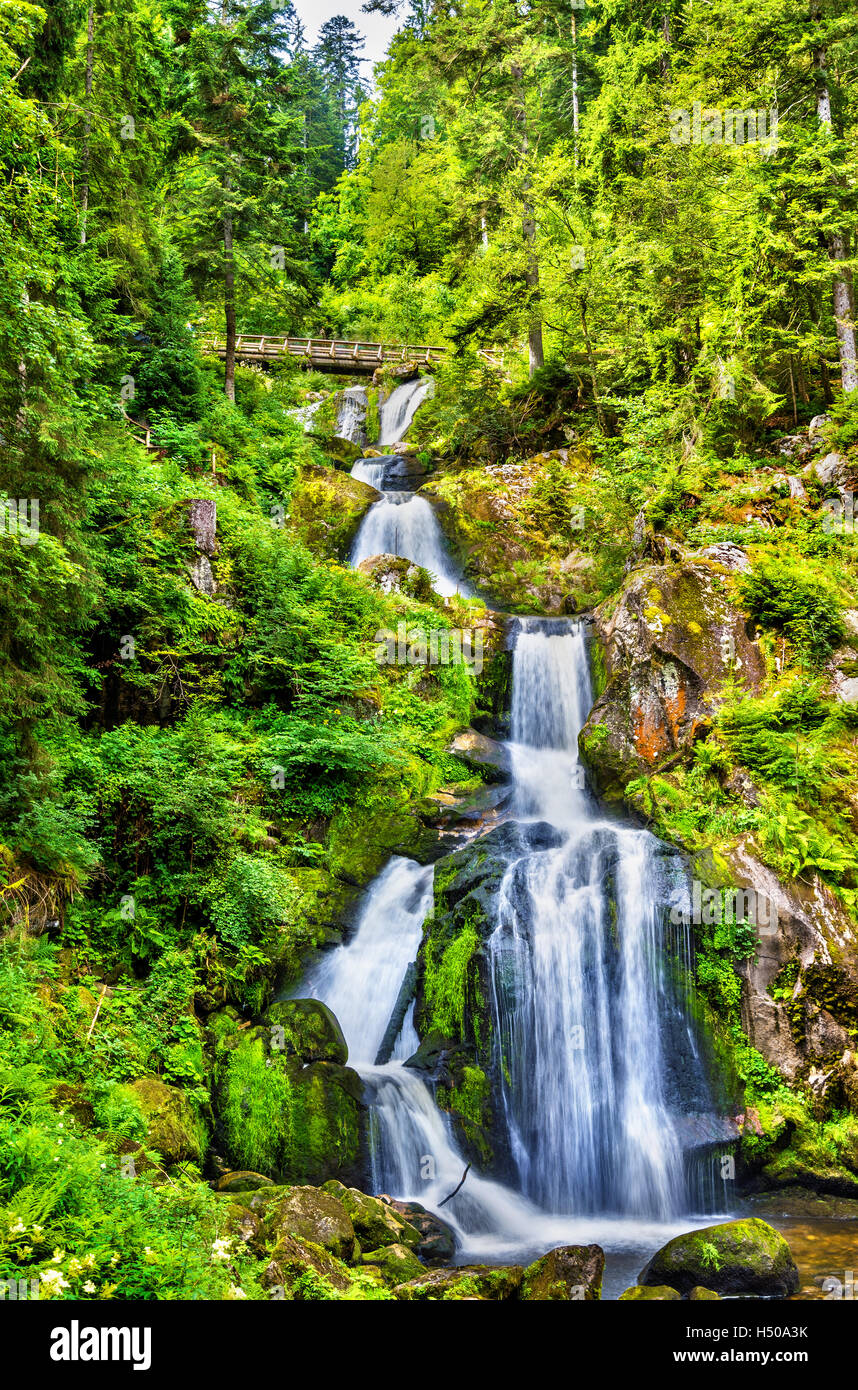 Triberg Falls, one of the highest waterfalls in Germany the