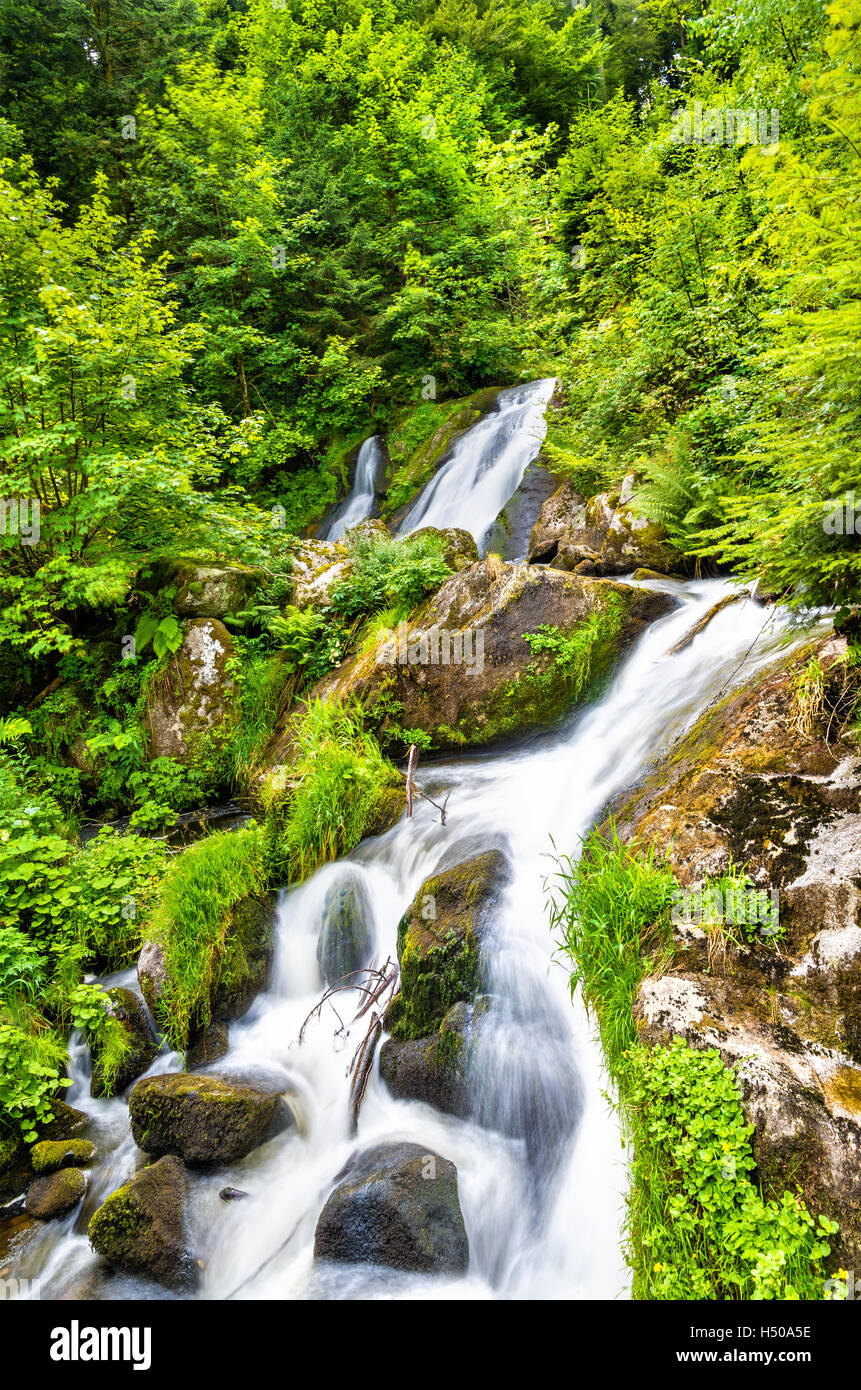 Triberg Falls, one of the highest waterfalls in Germany - the Black Forest region Stock Photo