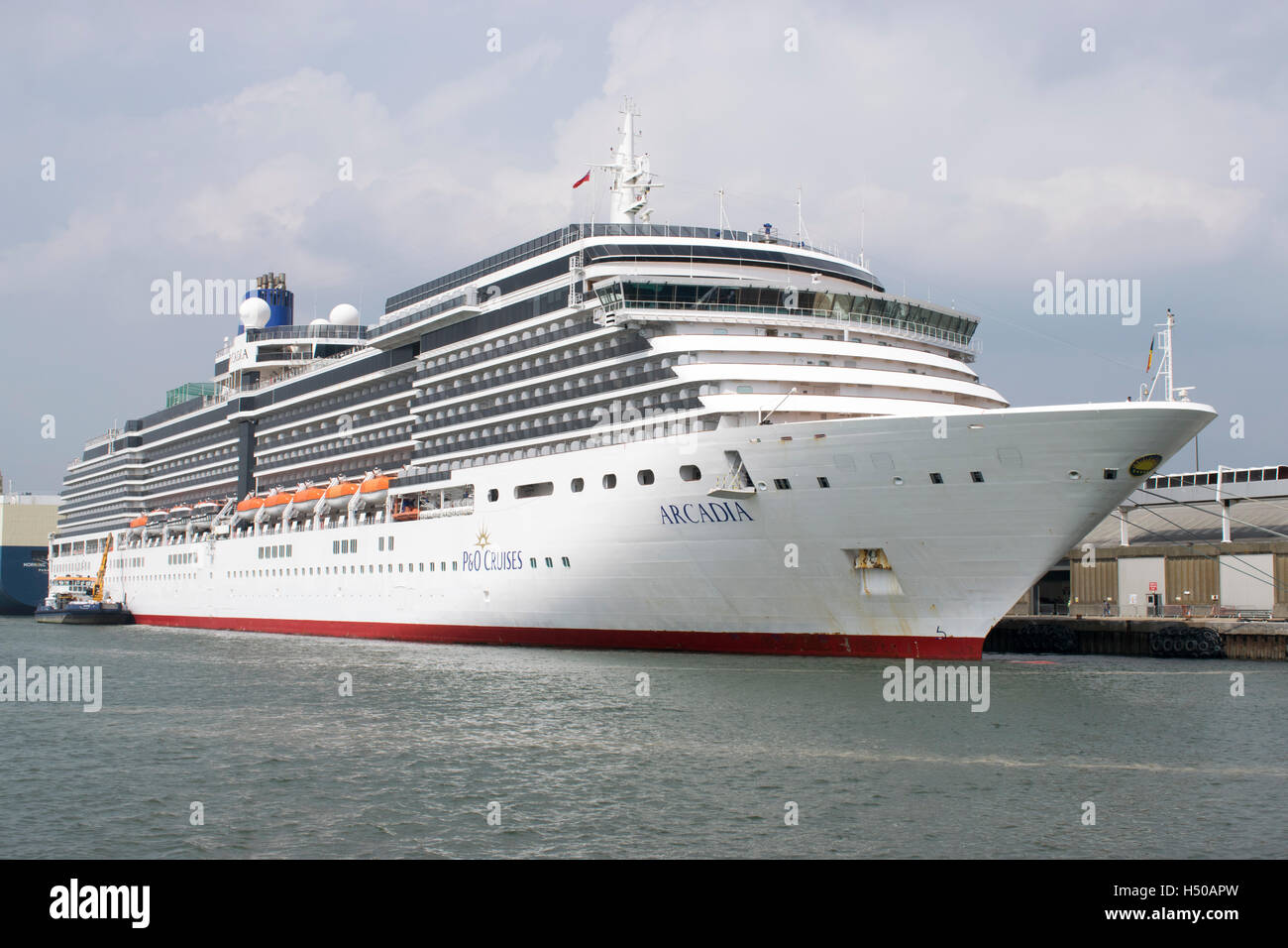 Arcadia 2024 World Cruise Schedule Gale Lucine