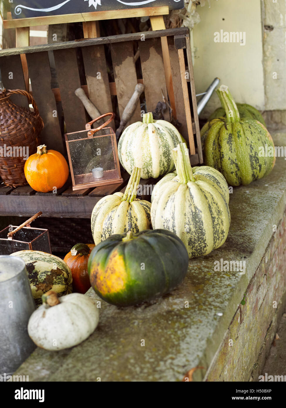 Pumpkins in autumn Stock Photo