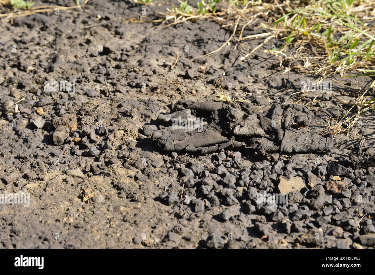 Damage to the environment. Soil contaminated by hydraulic oil Stock Photo Alamy