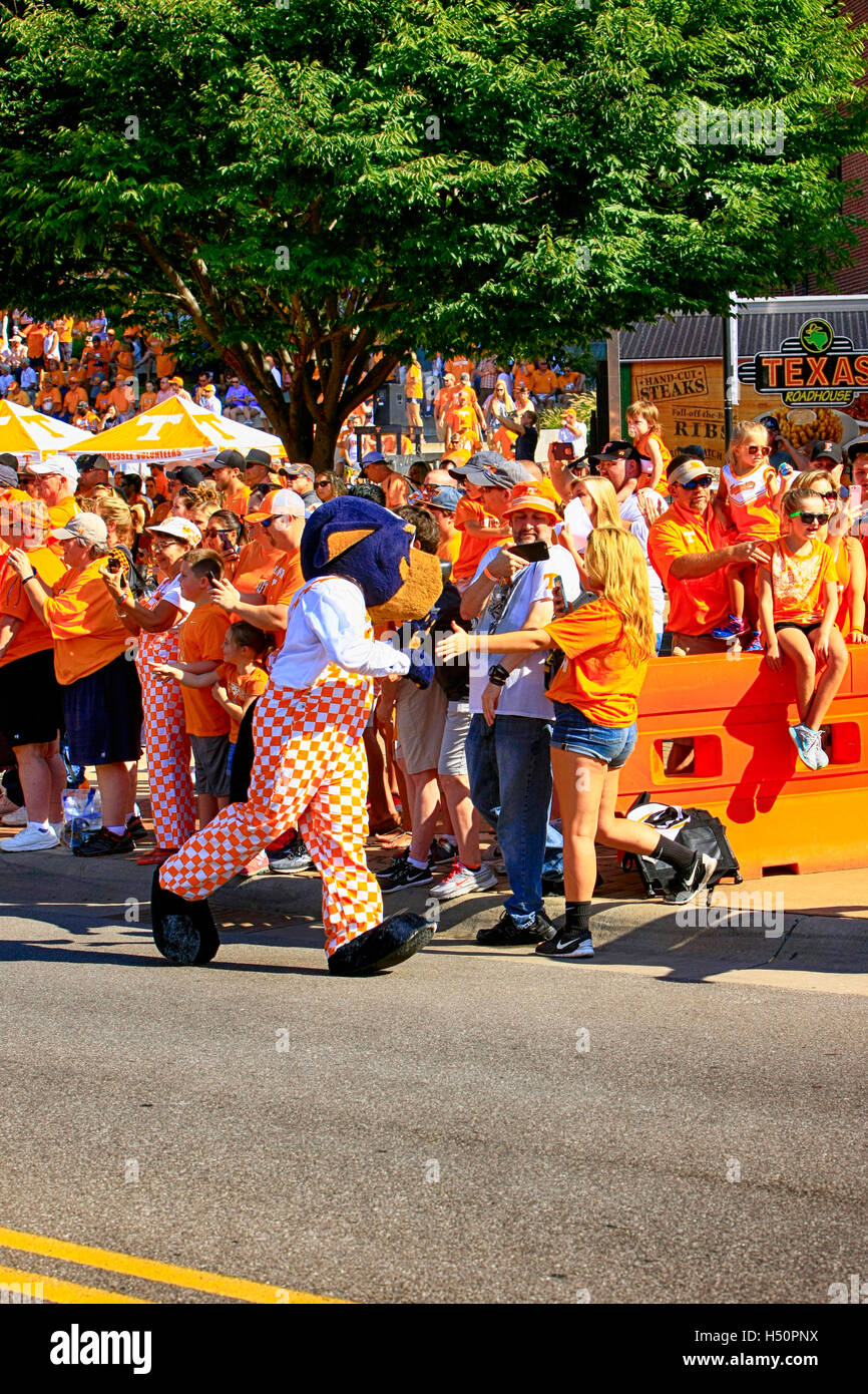 Smokey Bear The Mascot Of The University Of Tennessee Football Team smokey-bear-the-mascot-of-the-university-of-tennessee-football-team