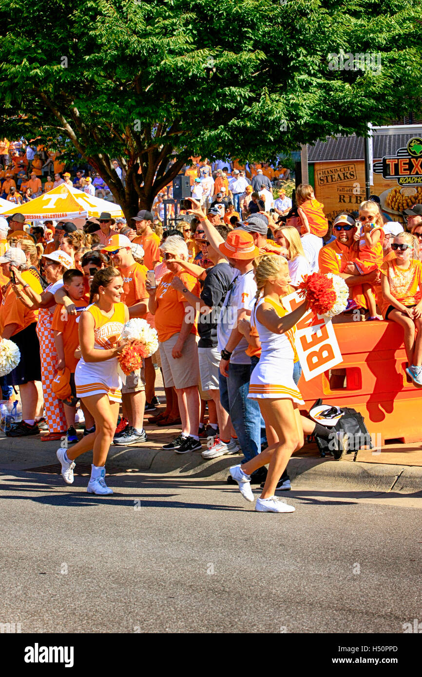 Cheerleaders of the University of Tennessee Volunteers football team at Neyland Stadium, Knoxville Stock Photo