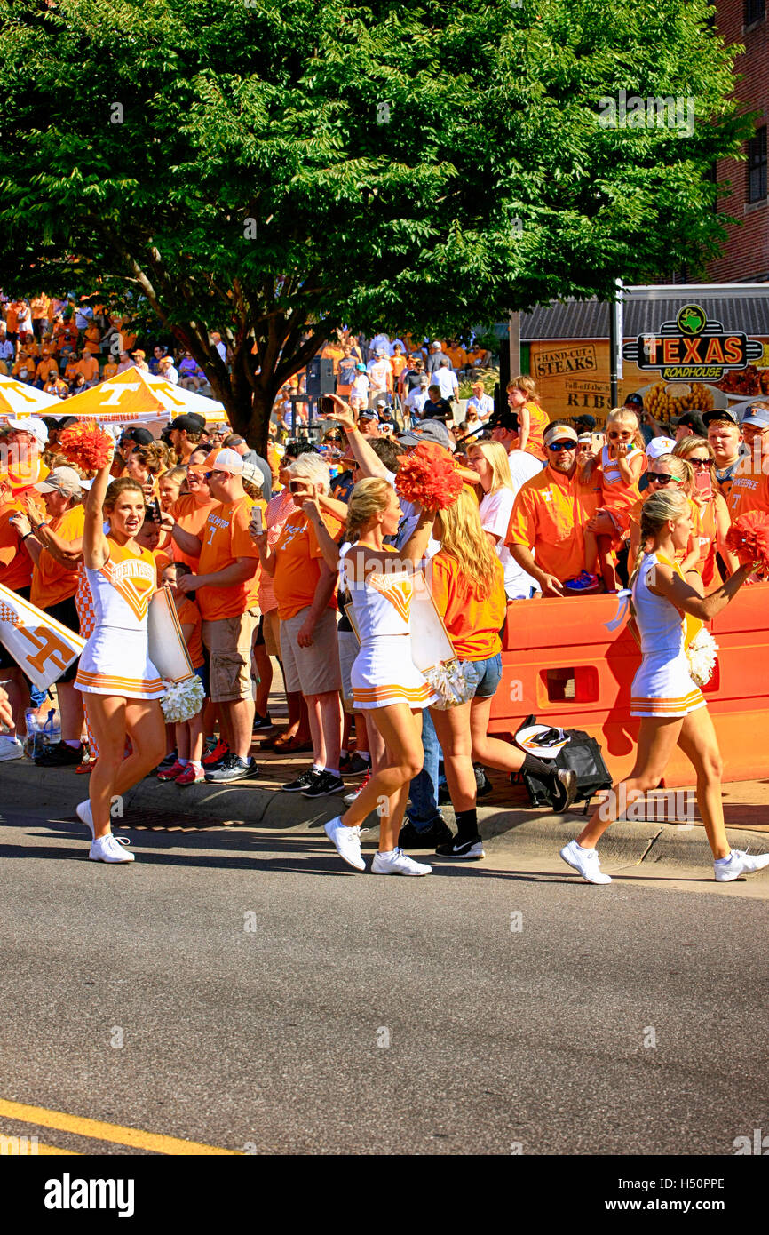 Cheerleaders of the University of Tennessee Volunteers football team at Neyland Stadium, Knoxville Stock Photo