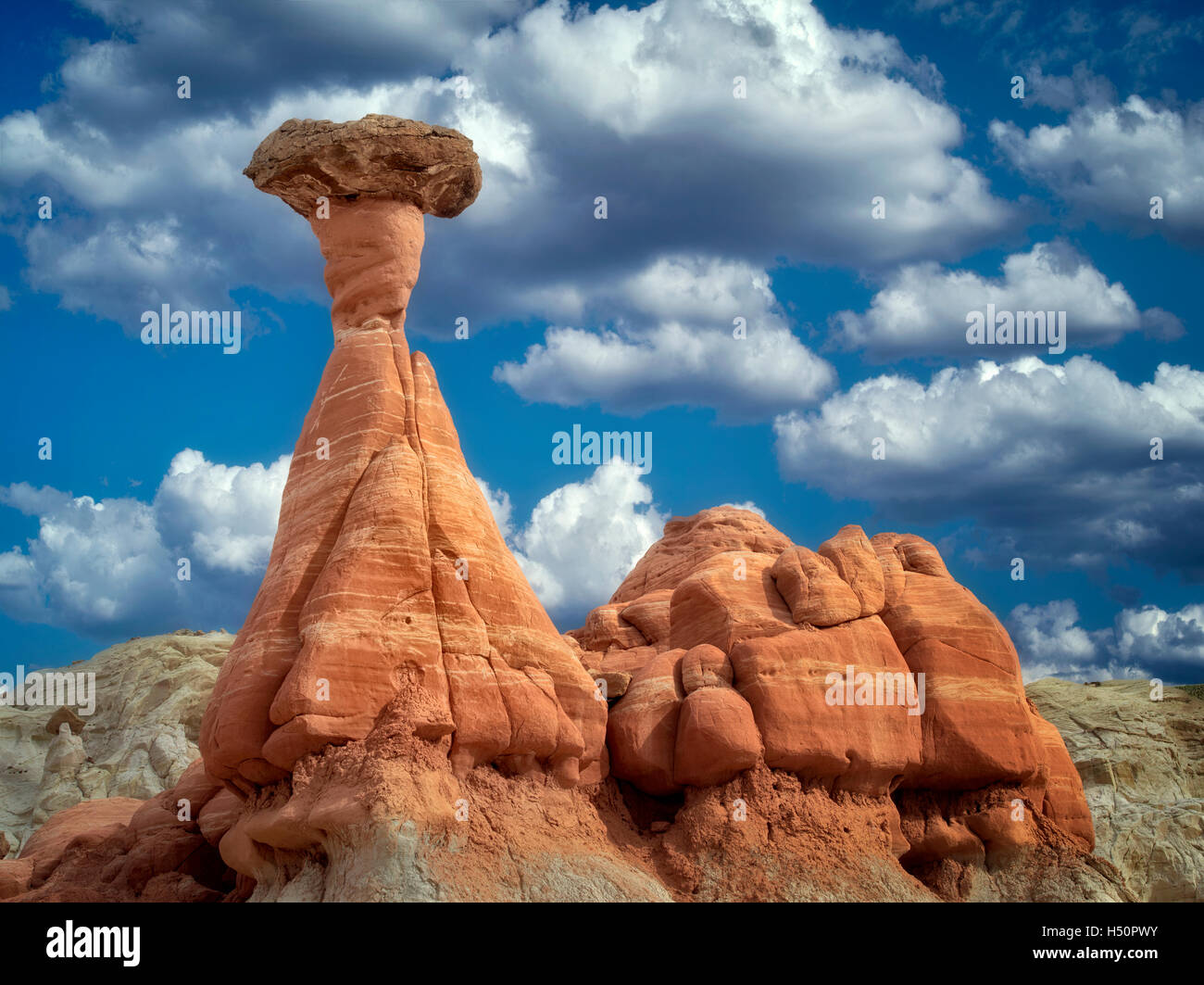 Hodoos at Toadstool formation in Escalante Staircase National Monument, Utah Stock Photo