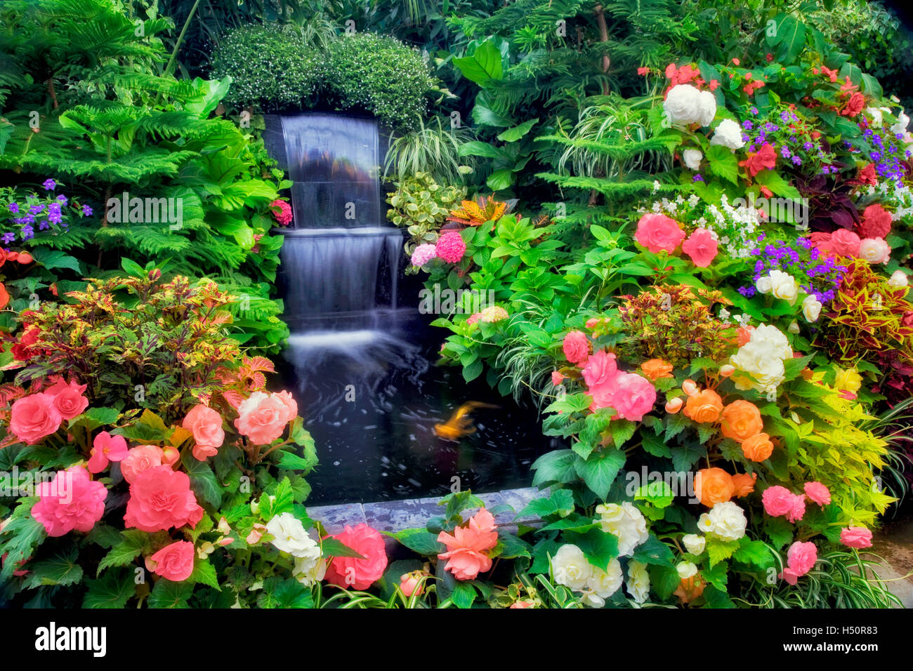 Waterfall and begonias in greenhouse at Butchart Gardens, B.C. Canada Stock Photo