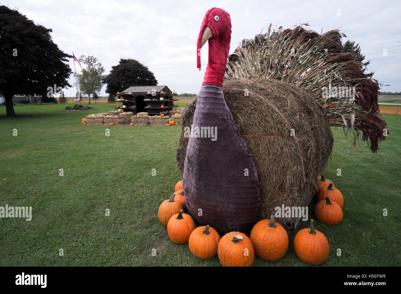 Pumpkins on display at an Illinois farm market Stock Photo - Alamy